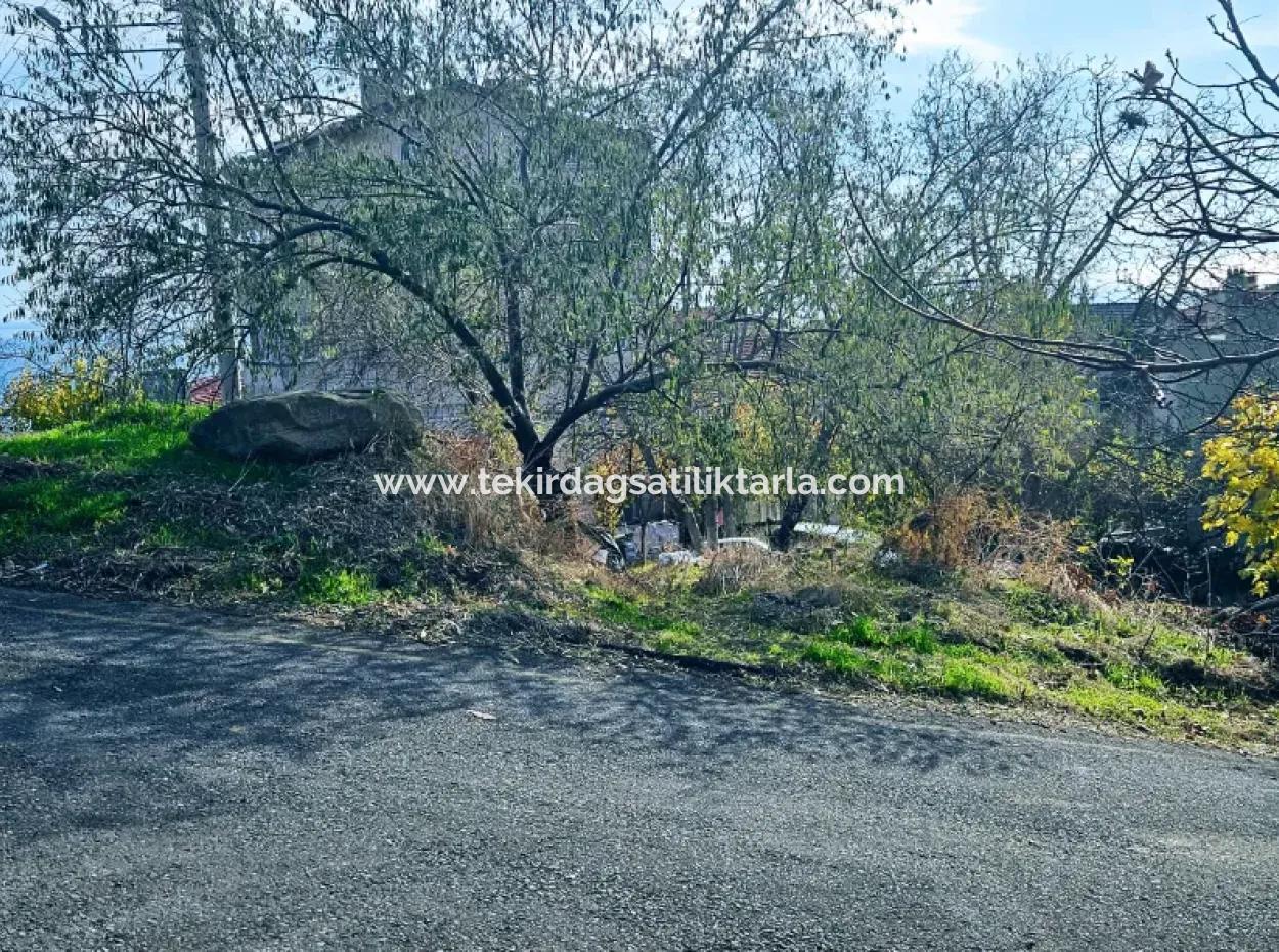 2 Plots Of Land For Urgent Sale 2 Detached Houses Suitable For Building Coupon Land