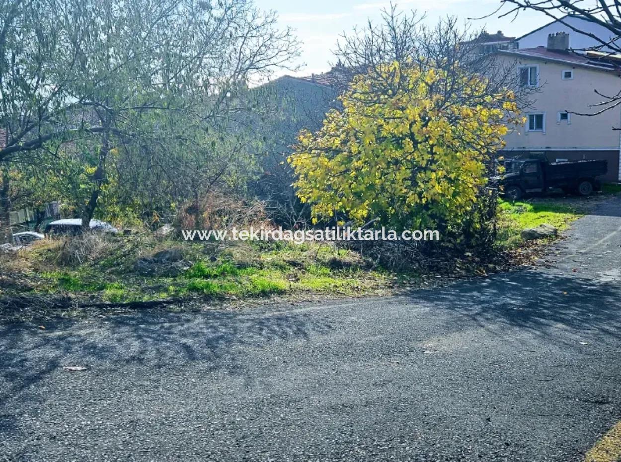 2 Plots Of Land For Urgent Sale 2 Detached Houses Suitable For Building Coupon Land