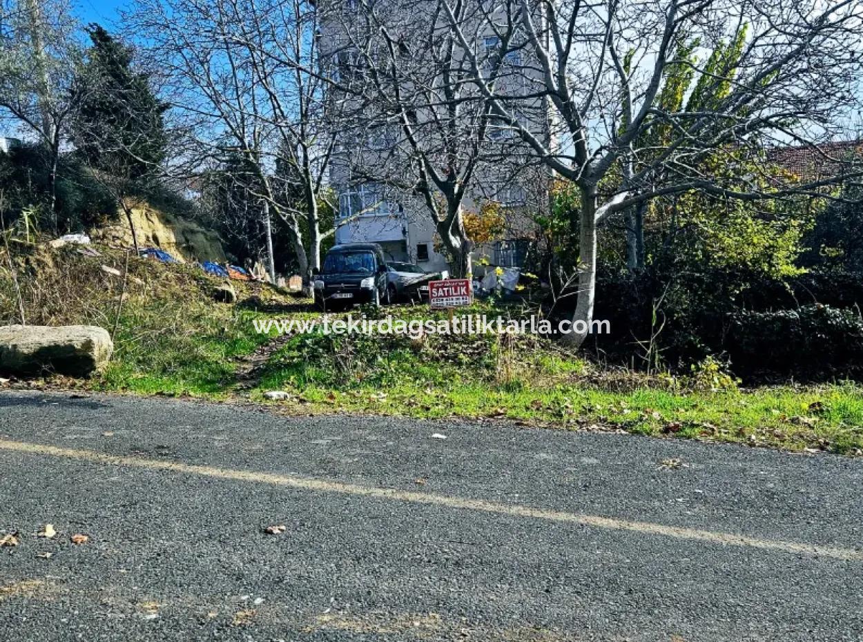 2 Plots Of Land For Urgent Sale 2 Detached Houses Suitable For Building Coupon Land