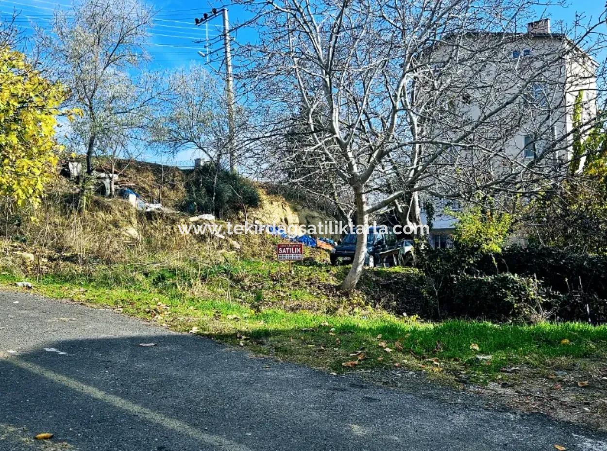 2 Plots Of Land For Urgent Sale 2 Detached Houses Suitable For Building Coupon Land