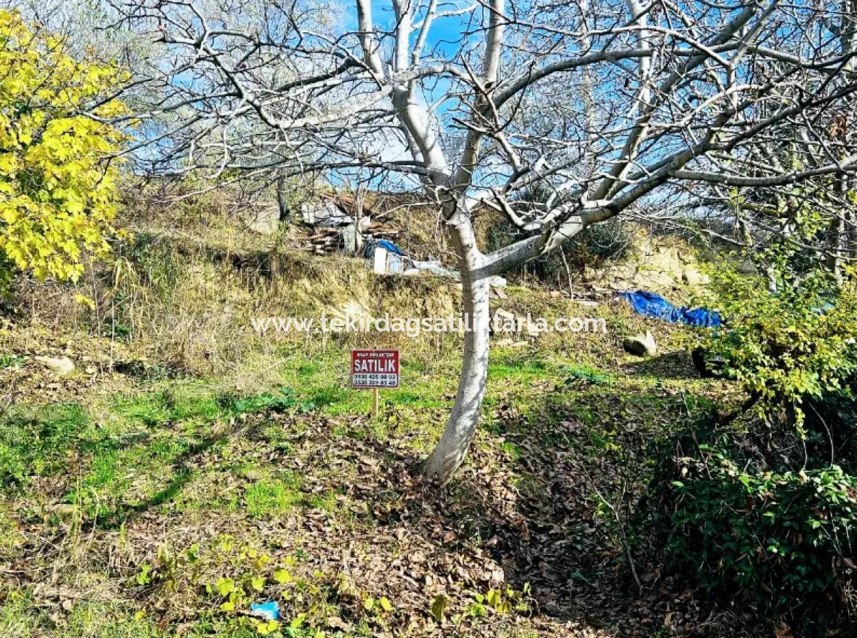 2 Plots Of Land For Urgent Sale 2 Detached Houses Suitable For Building Coupon Land