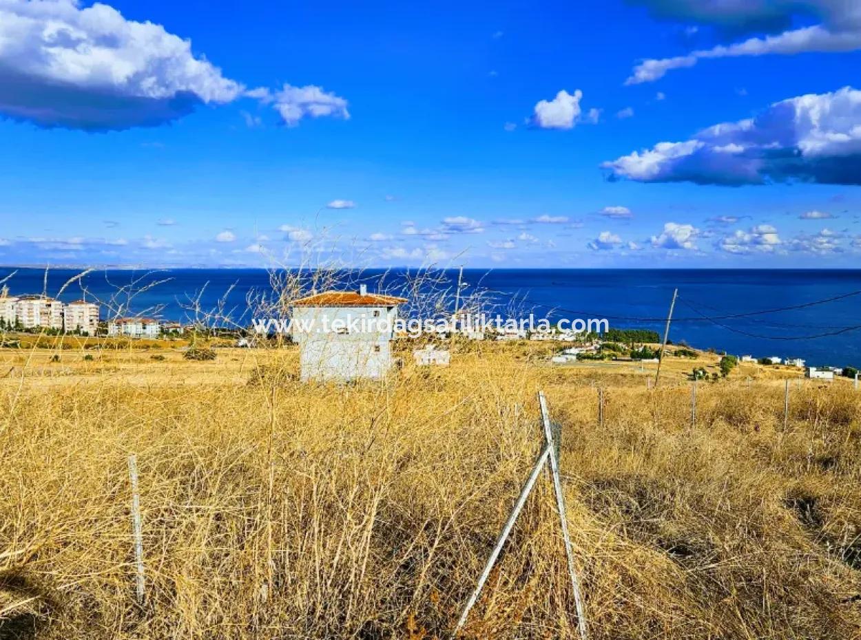 6 Apartment Opportunity Plot With Wonderful Sea View For Urgent Sale