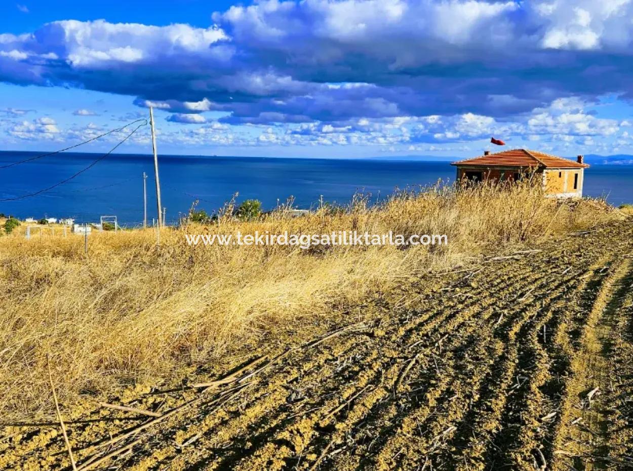 6 Apartment Opportunity Plot With Wonderful Sea View For Urgent Sale