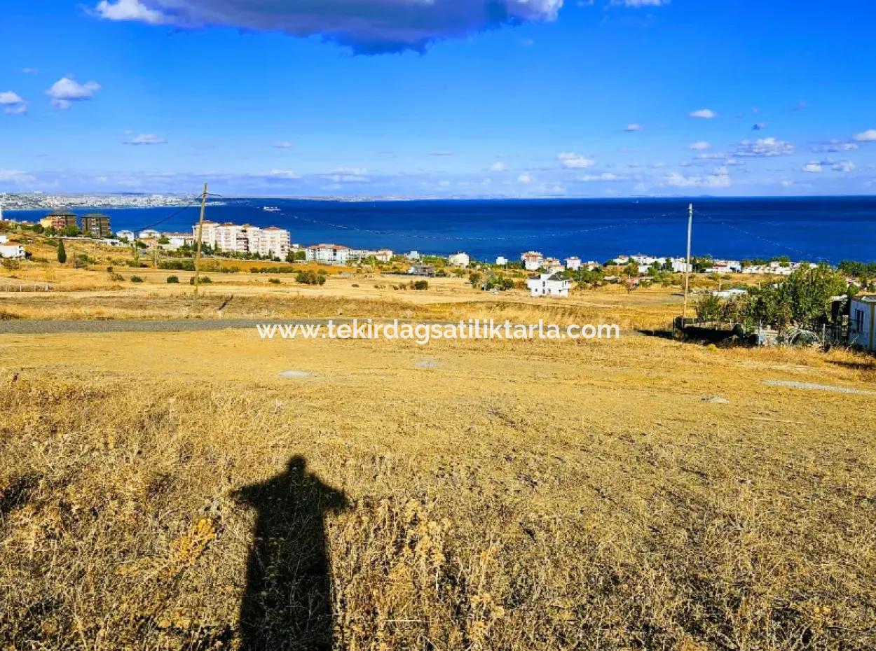 6 Apartment Opportunity Plot With Wonderful Sea View For Urgent Sale