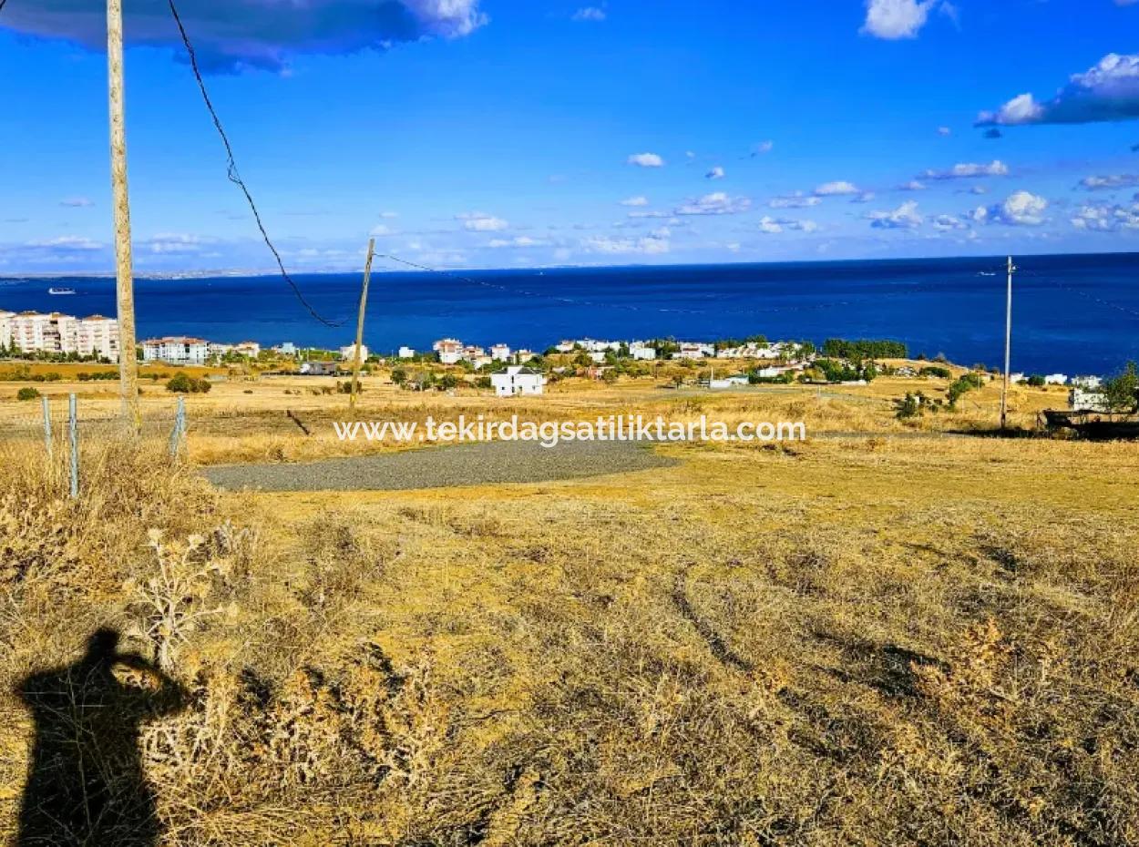 6 Apartment Opportunity Plot With Wonderful Sea View For Urgent Sale