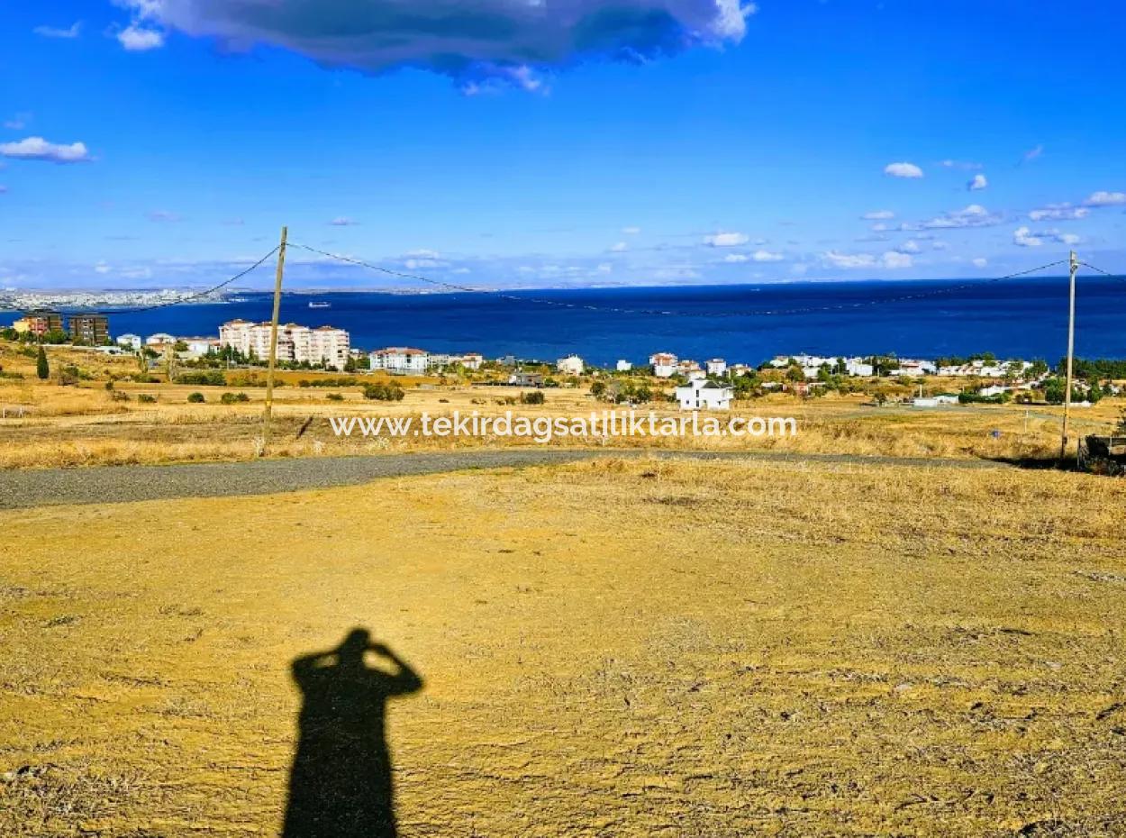 6 Apartment Opportunity Plot With Wonderful Sea View For Urgent Sale