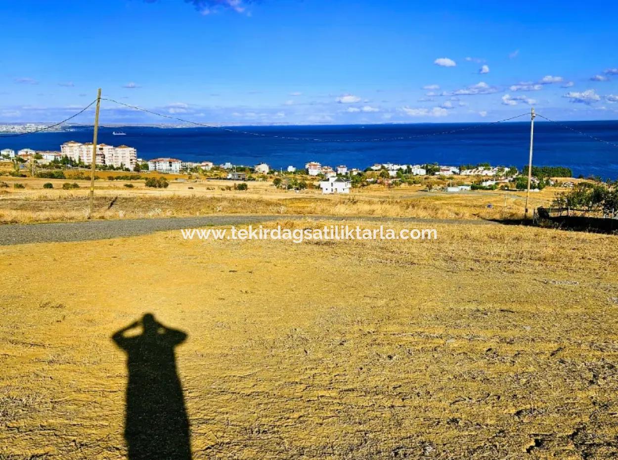 6 Apartment Opportunity Plot With Wonderful Sea View For Urgent Sale