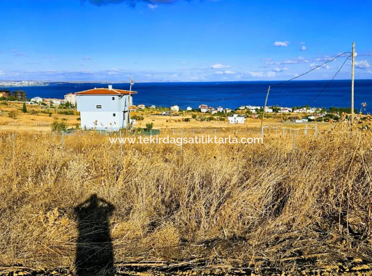 6 Apartment Opportunity Plot With Wonderful Sea View For Urgent Sale