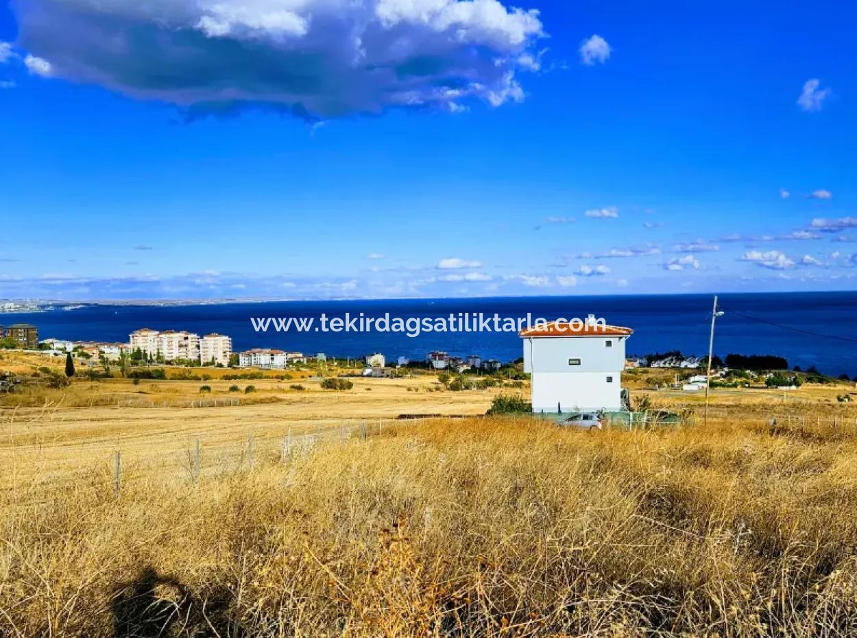 6 Apartment Opportunity Plot With Wonderful Sea View For Urgent Sale