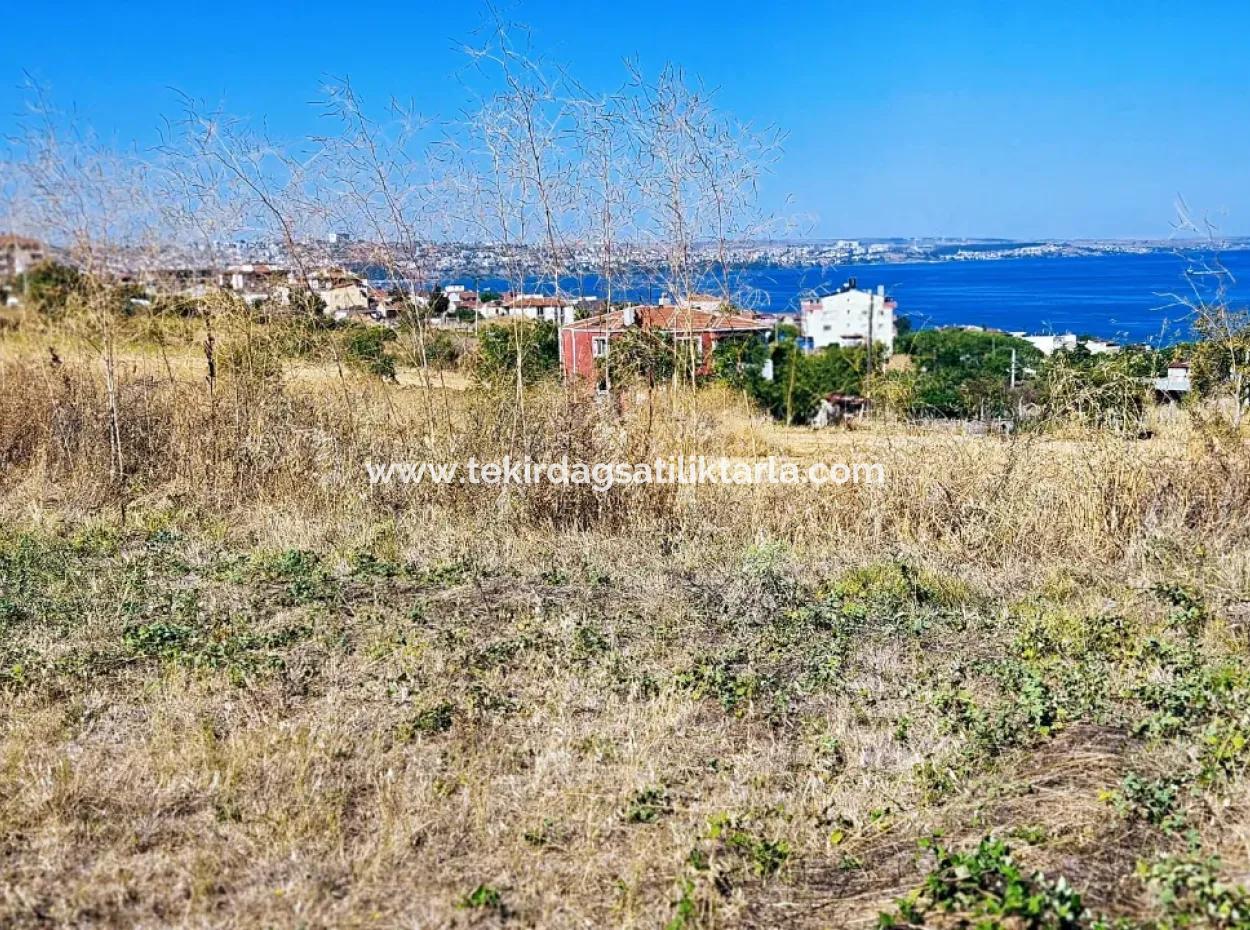 Opportunity Land Suitable For Building A Detached House In A Wonderful Location In Tekirdag Barbarosta, Close To The Sea