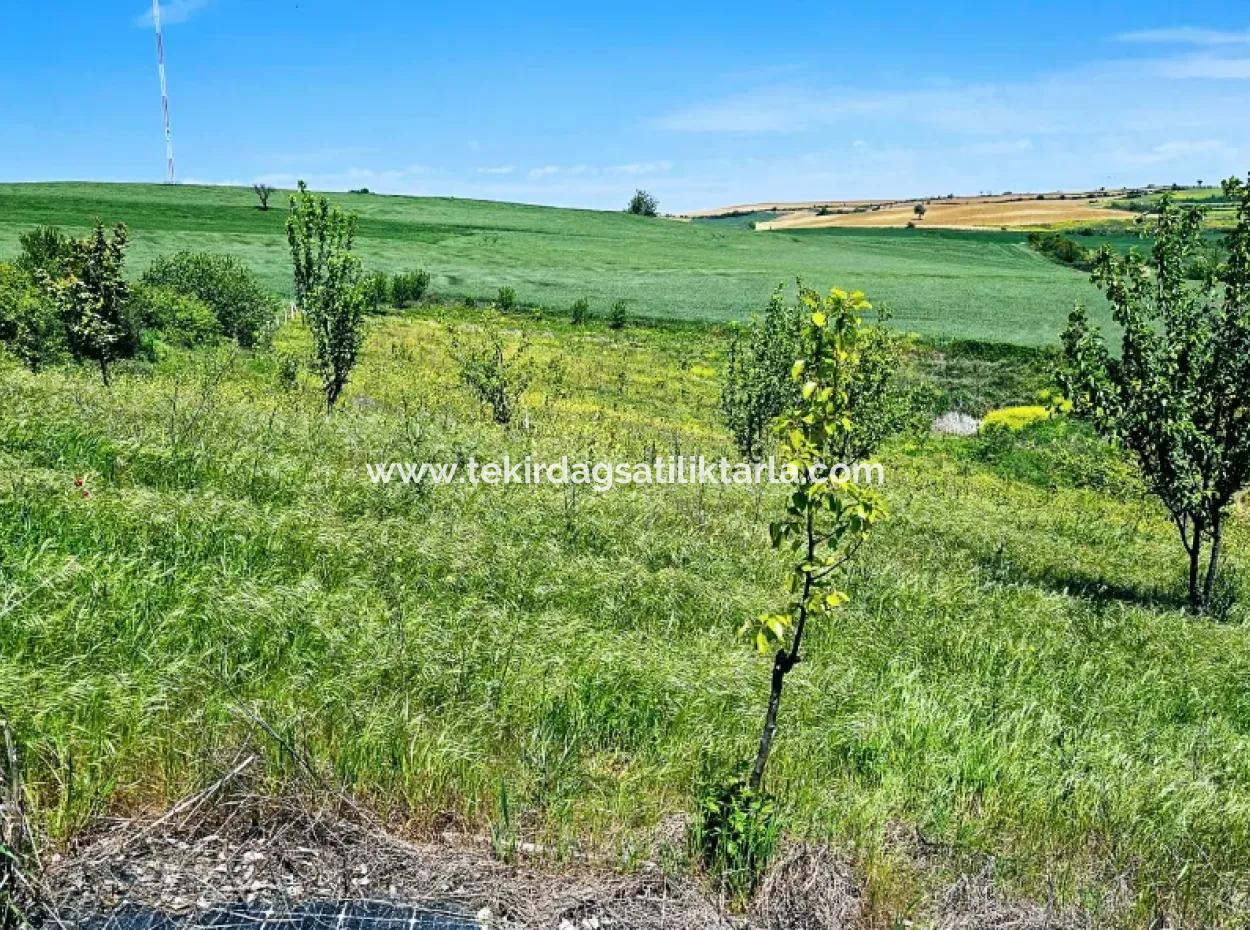 A Great Opportunity To Build Your Farm In Your Family For Urgent Sale 2,600 Acres Of Pasture Front