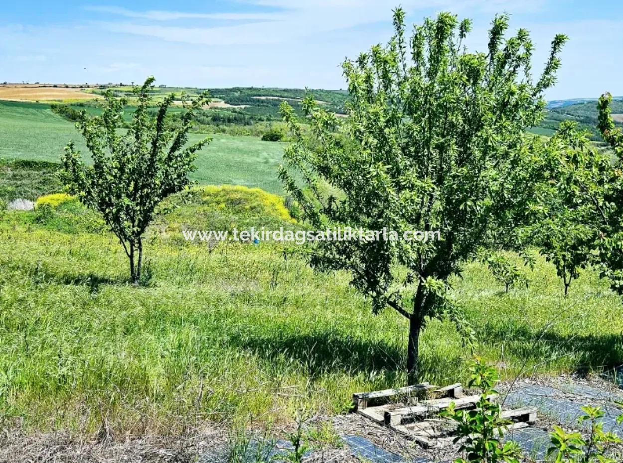 A Great Opportunity To Build Your Farm In Your Family For Urgent Sale 2,600 Acres Of Pasture Front