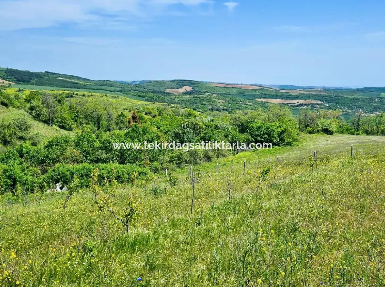 A Great Opportunity To Build Your Farm In Your Family For Urgent Sale 2,600 Acres Of Pasture Front