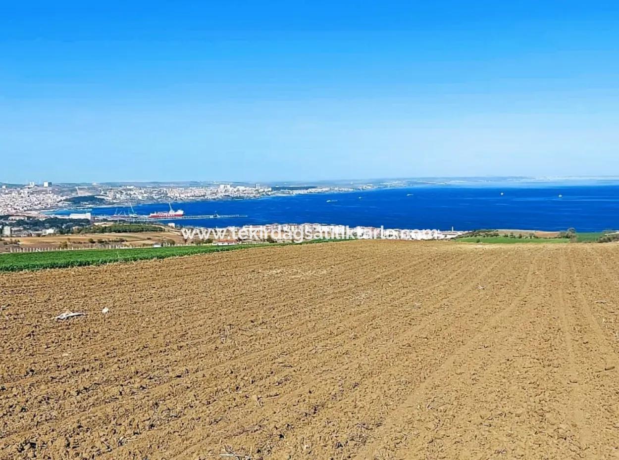 Tekirdag Barbarosta Luxury Villa Project Yap. Give A Flat To The Contractors And Make A High Profit Villa With Full Sea View Zoned Land