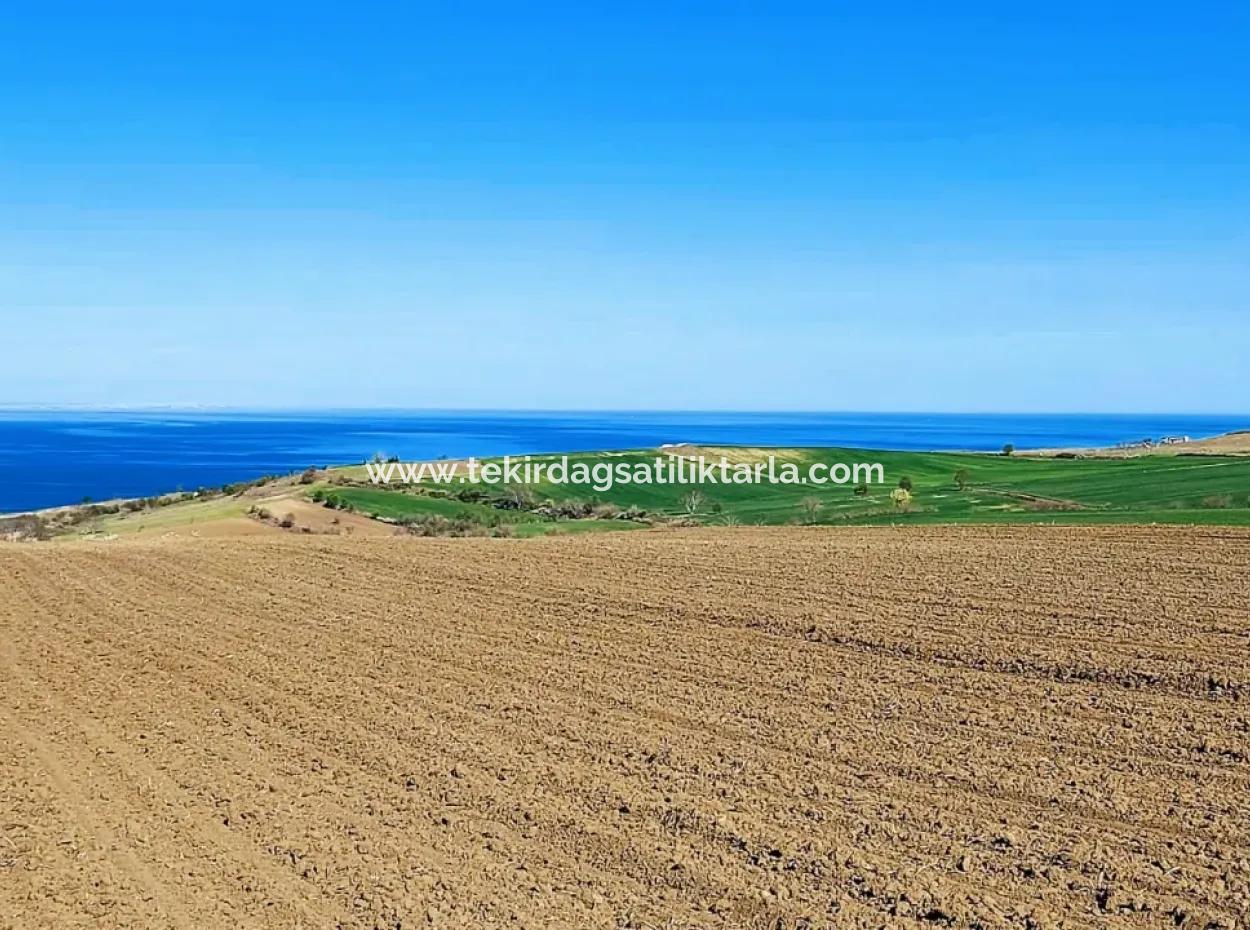 Tekirdag Barbarosta Luxury Villa Project Yap. Give A Flat To The Contractors And Make A High Profit Villa With Full Sea View Zoned Land