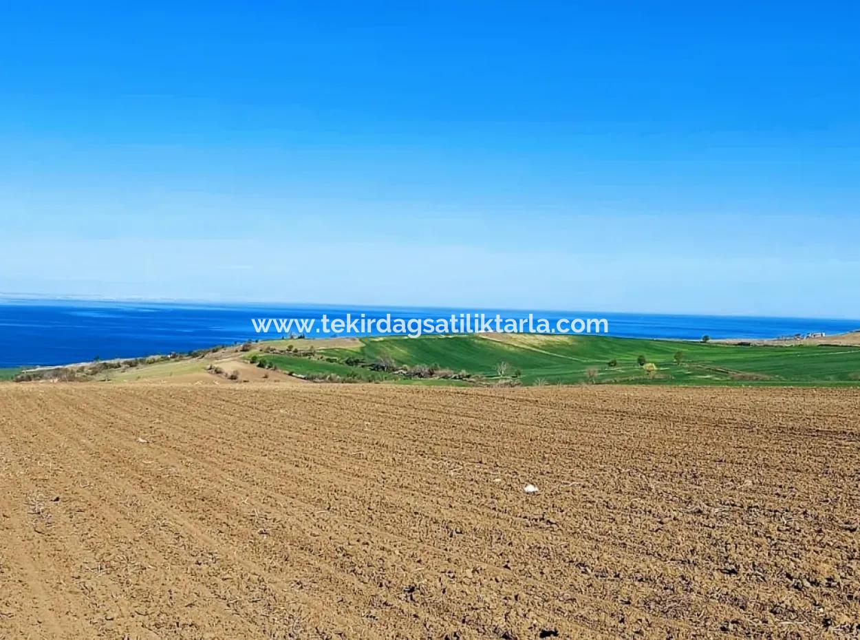 Tekirdag Barbarosta Luxury Villa Project Yap. Give A Flat To The Contractors And Make A High Profit Villa With Full Sea View Zoned Land