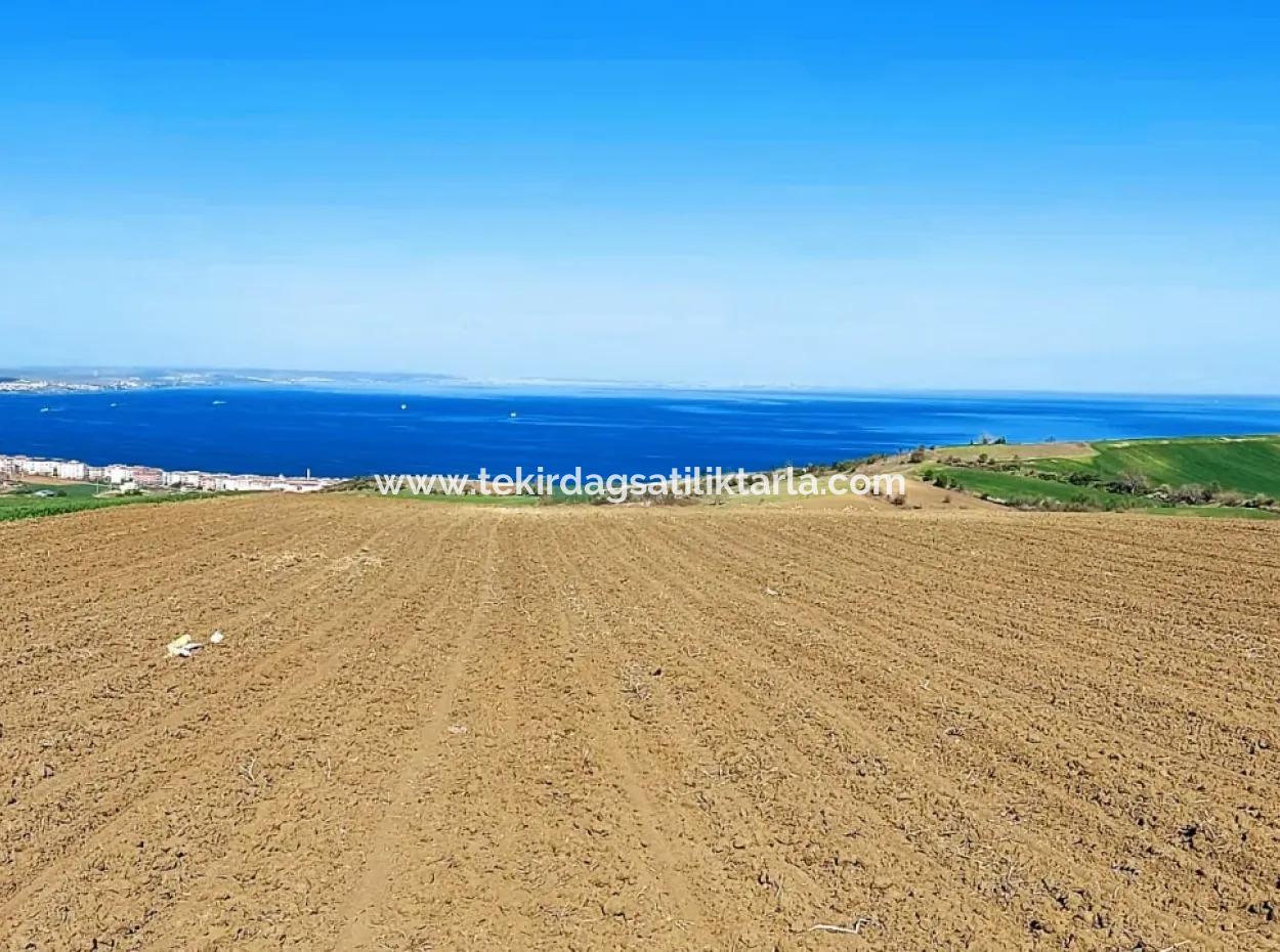 Tekirdag Barbarosta Luxury Villa Project Yap. Give A Flat To The Contractors And Make A High Profit Villa With Full Sea View Zoned Land