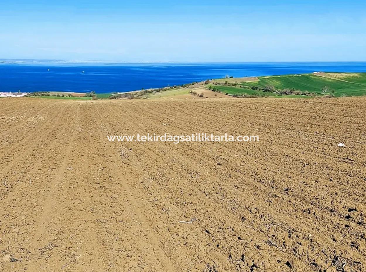 Tekirdag Barbarosta Luxury Villa Project Yap. Give A Flat To The Contractors And Make A High Profit Villa With Full Sea View Zoned Land