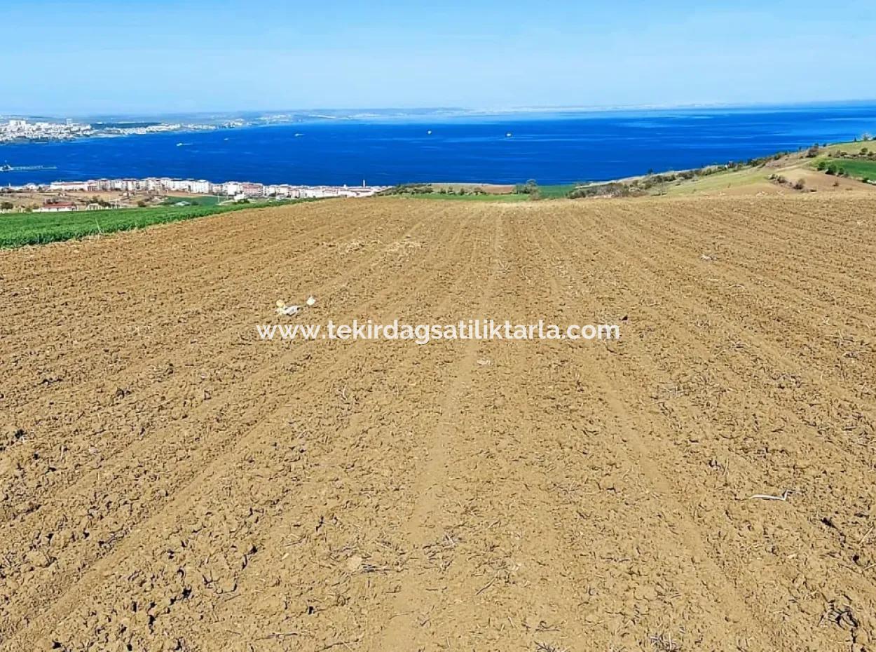 Tekirdag Barbarosta Luxury Villa Project Yap. Give A Flat To The Contractors And Make A High Profit Villa With Full Sea View Zoned Land