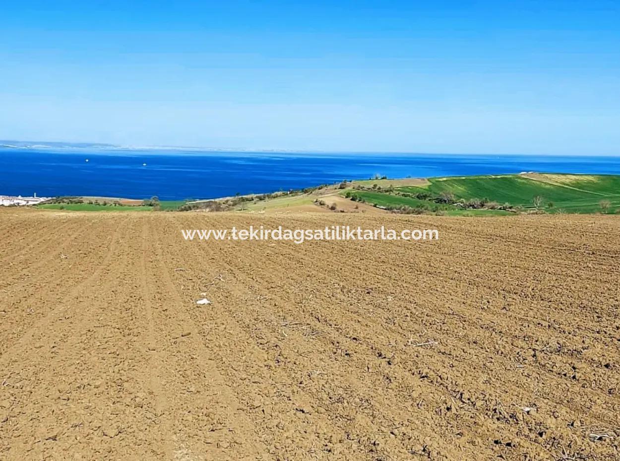 Tekirdag Barbarosta Luxury Villa Project Yap. Give A Flat To The Contractors And Make A High Profit Villa With Full Sea View Zoned Land