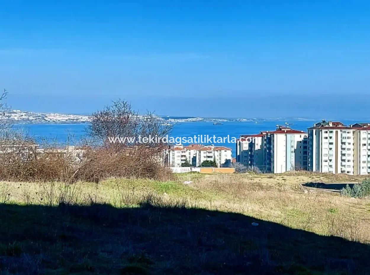 55 Flats Of Opportunity Coupon Land With 9 Floors Zoning In Tekirdag Topağaç Neighborhood