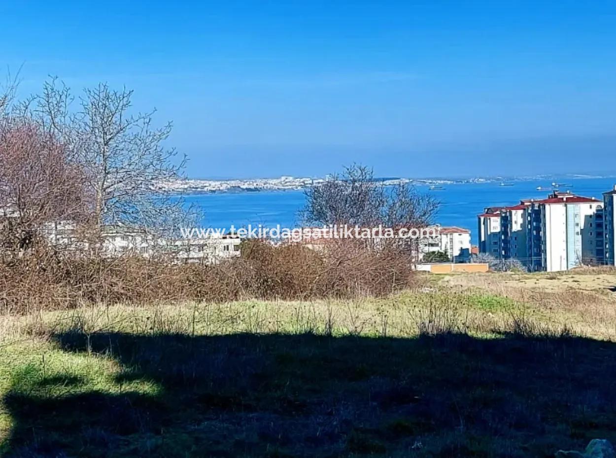 55 Flats Of Opportunity Coupon Land With 9 Floors Zoning In Tekirdag Topağaç Neighborhood