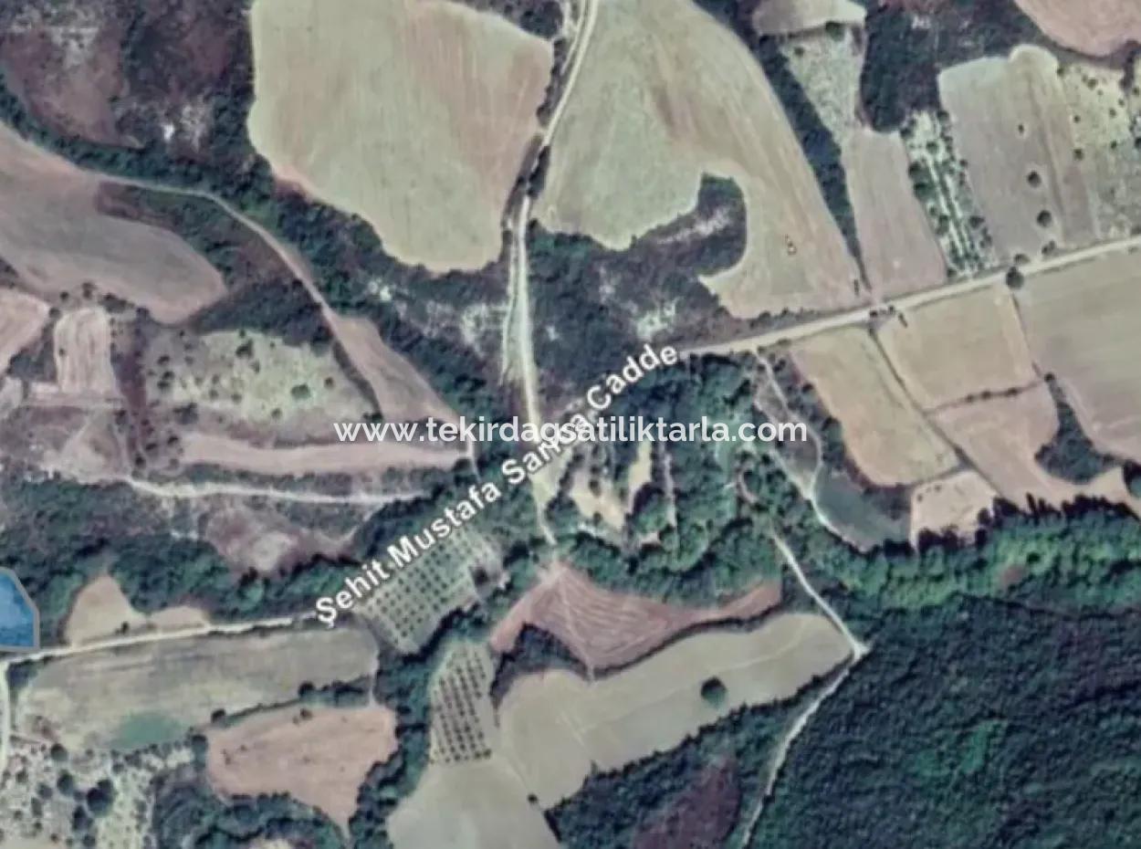 Located In Tekirdağ Süleymanpaşa Yeniköy District, This 5,500 Square Meter Field By The Stream
