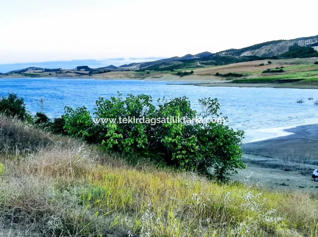 Tekirdağ Yeniköyde For Sale 3.000 M2 Field For Sale With Pond Facing