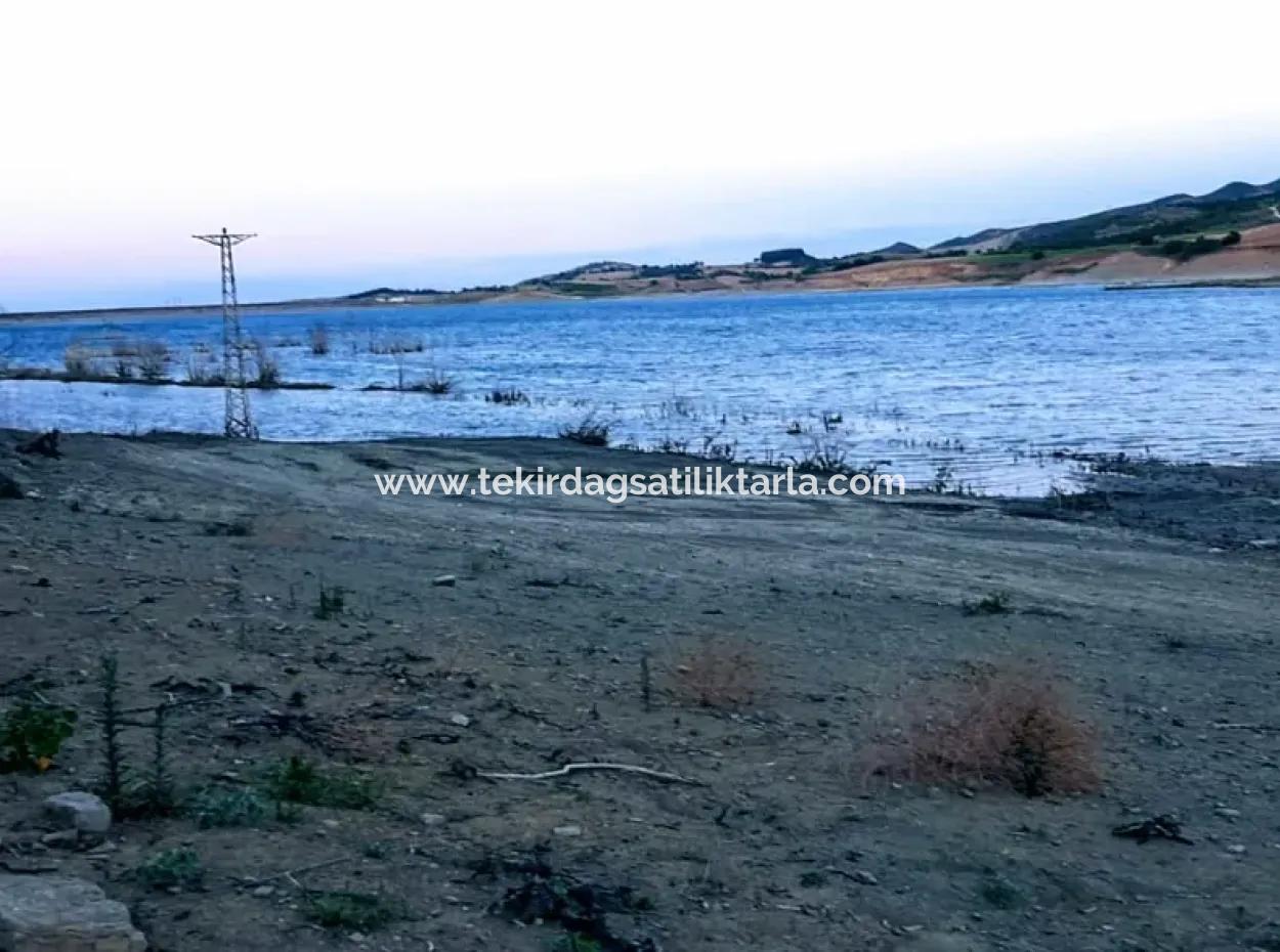 Tekirdağ Yeniköyde For Sale 3.000 M2 Field For Sale With Pond Facing