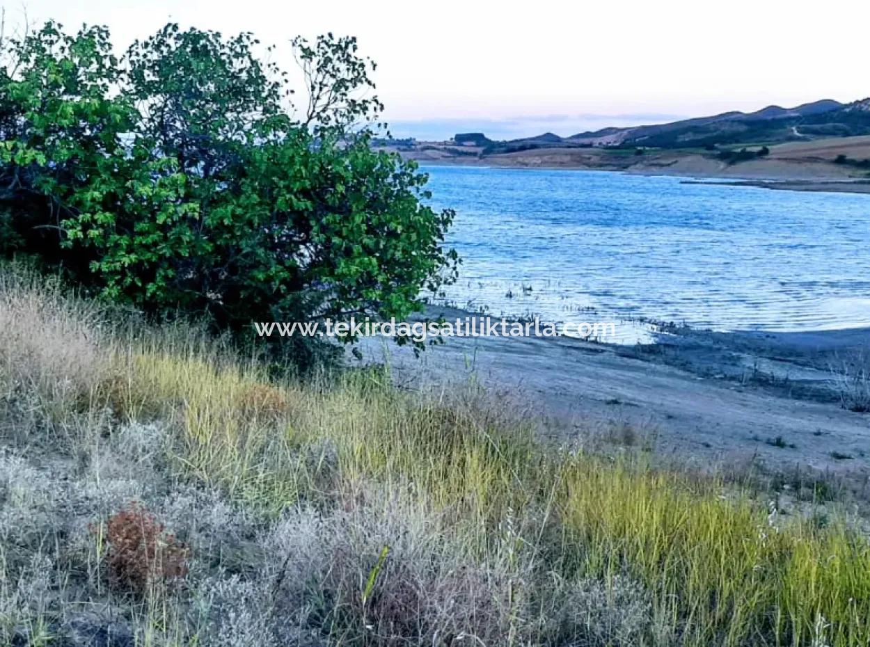 Tekirdağ Yeniköyde For Sale 3.000 M2 Field For Sale With Pond Facing