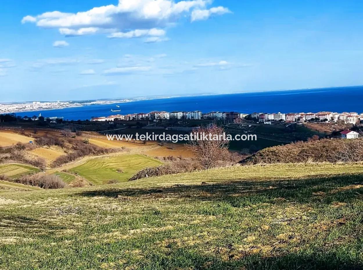 1,150 Sqm Plot Close To Ramada Hotel In Tekirdag Suleymanpasa Barbaros - Topagac