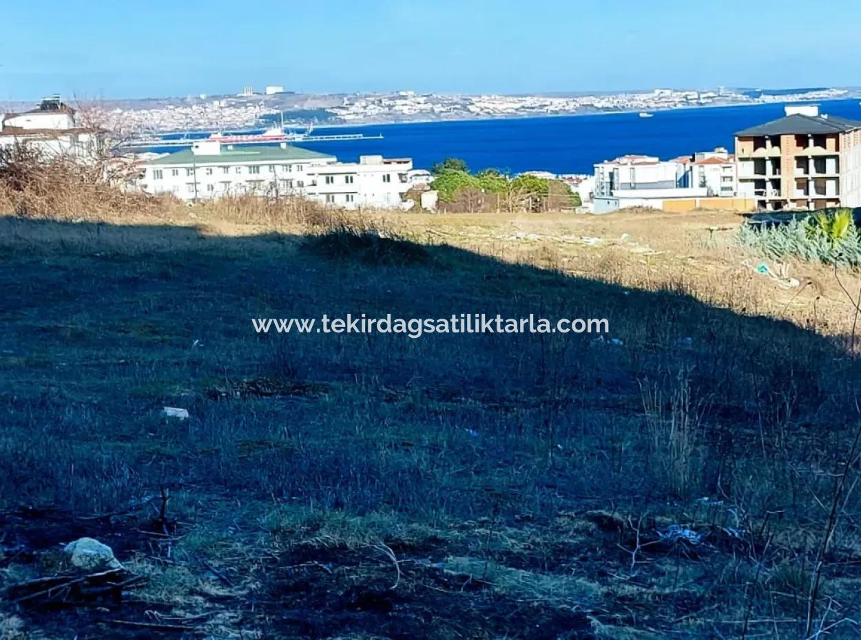 55 Flats Of Opportunity Coupon Land With 9 Floors Zoning In Tekirdag Topağaç Neighborhood