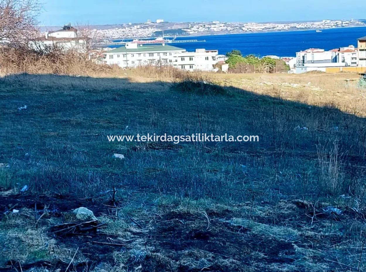 55 Flats Of Opportunity Coupon Land With 9 Floors Zoning In Tekirdag Topağaç Neighborhood
