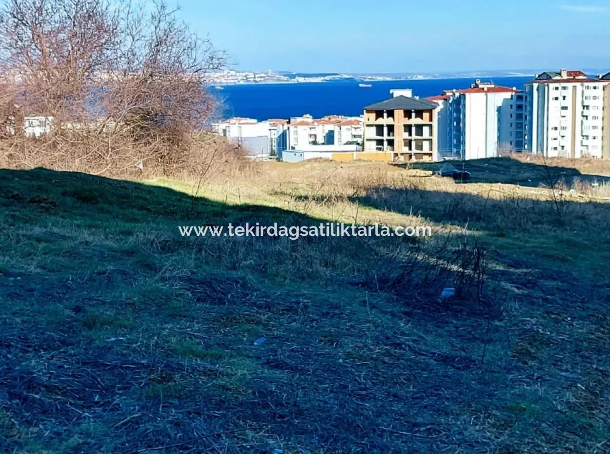 55 Flats Of Opportunity Coupon Land With 9 Floors Zoning In Tekirdag Topağaç Neighborhood