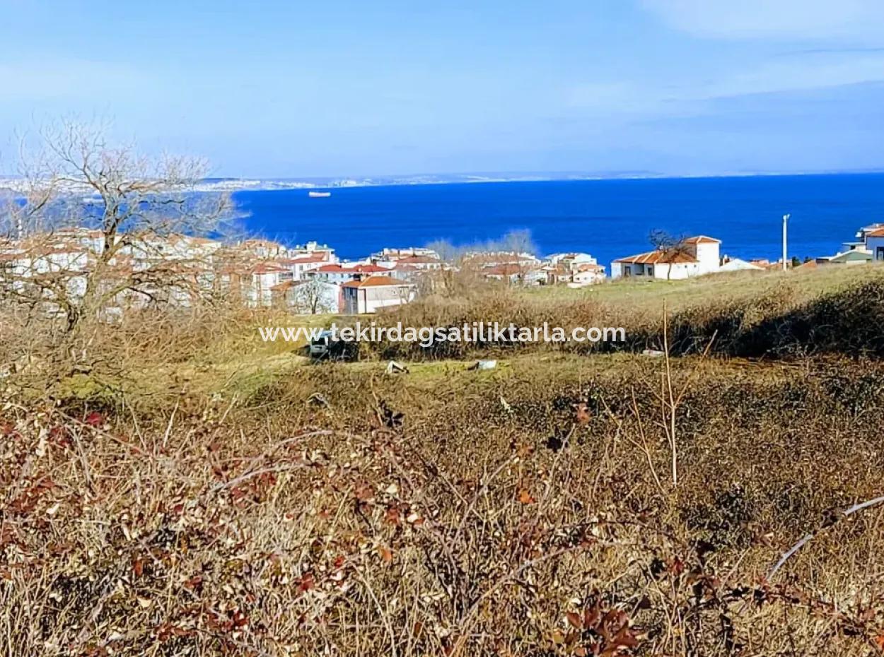 4 Storey Zoned Opportunity Land Of 30 Flats In Tekirdag Topağaç Neighborhood