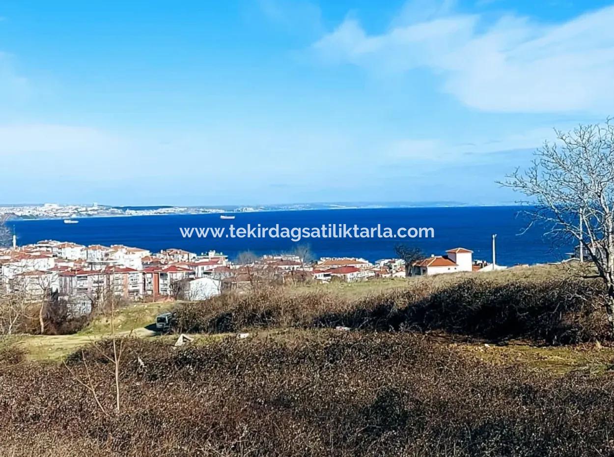 4 Storey Zoned Opportunity Land Of 30 Flats In Tekirdag Topağaç Neighborhood