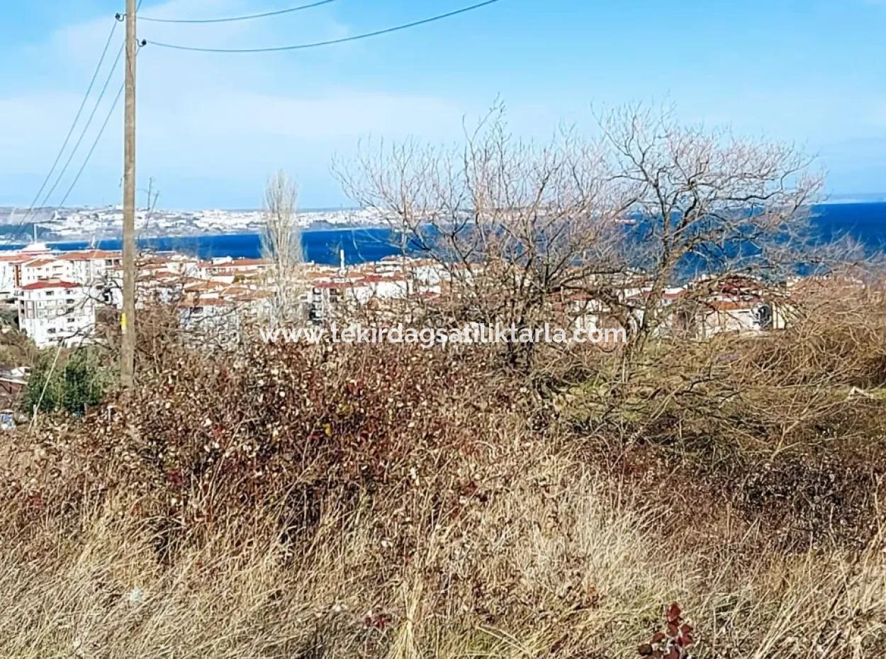 4 Storey Zoned Opportunity Land Of 30 Flats In Tekirdag Topağaç Neighborhood