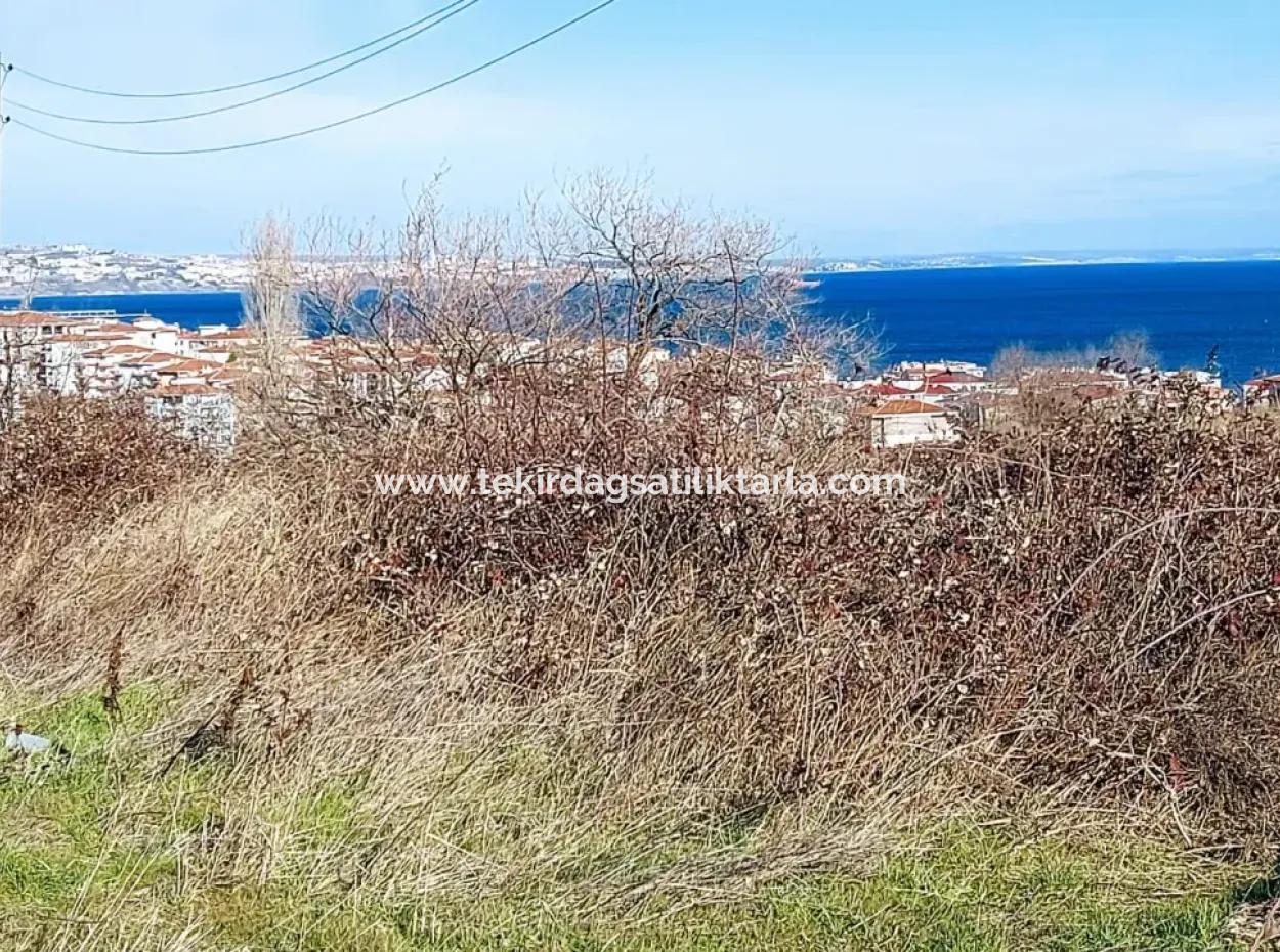 4 Storey Zoned Opportunity Land Of 30 Flats In Tekirdag Topağaç Neighborhood