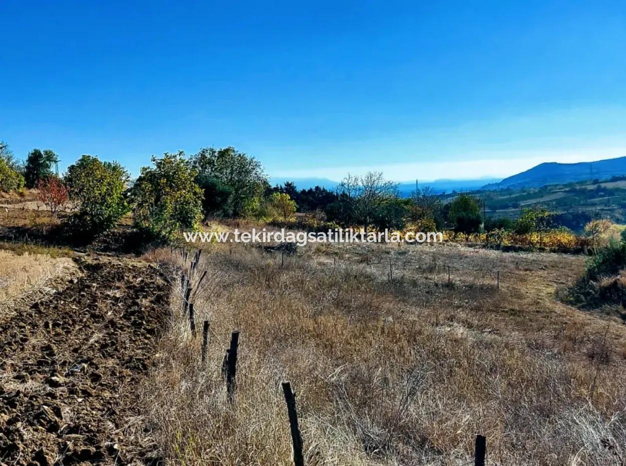 2,650 Square Meters Of Land Within This Reserved Residential Area Located In Tekirdağ Barbaros