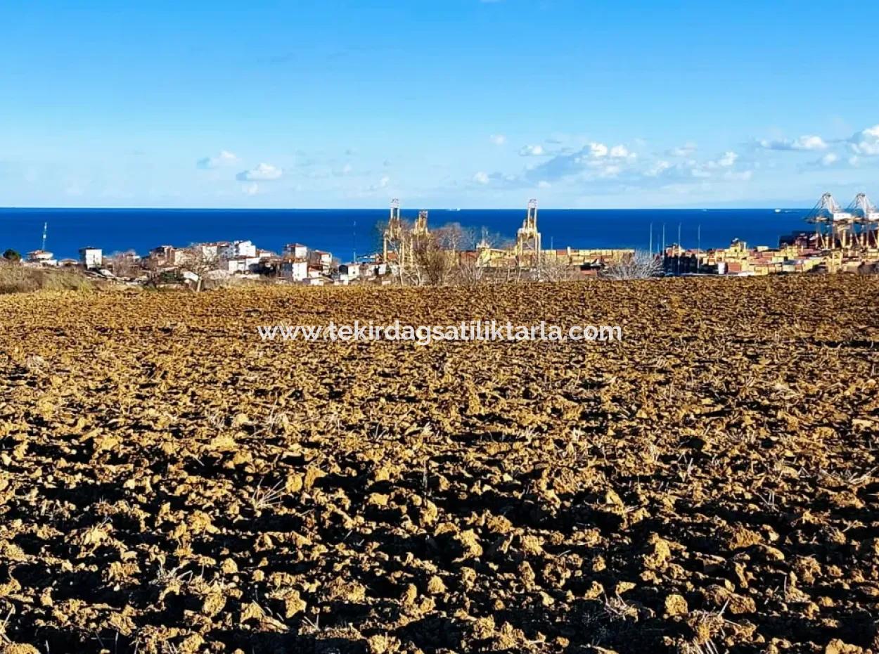 Unique 17.800 M2 Residential Zoned Land Located In Süleymanpaşa Barbaros Area Of Tekirdağ