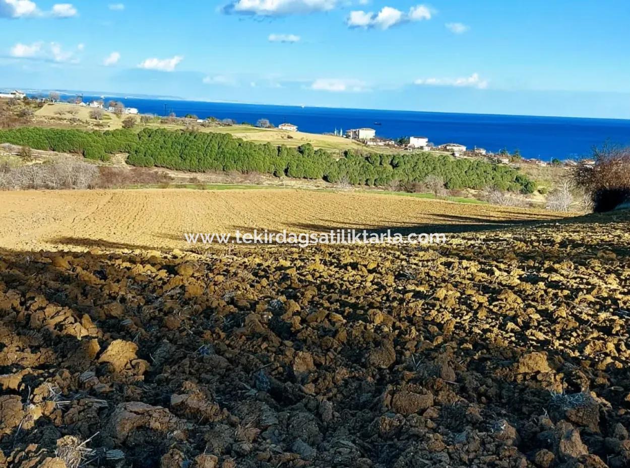 Unique 17.800 M2 Residential Zoned Land Located In Süleymanpaşa Barbaros Area Of Tekirdağ