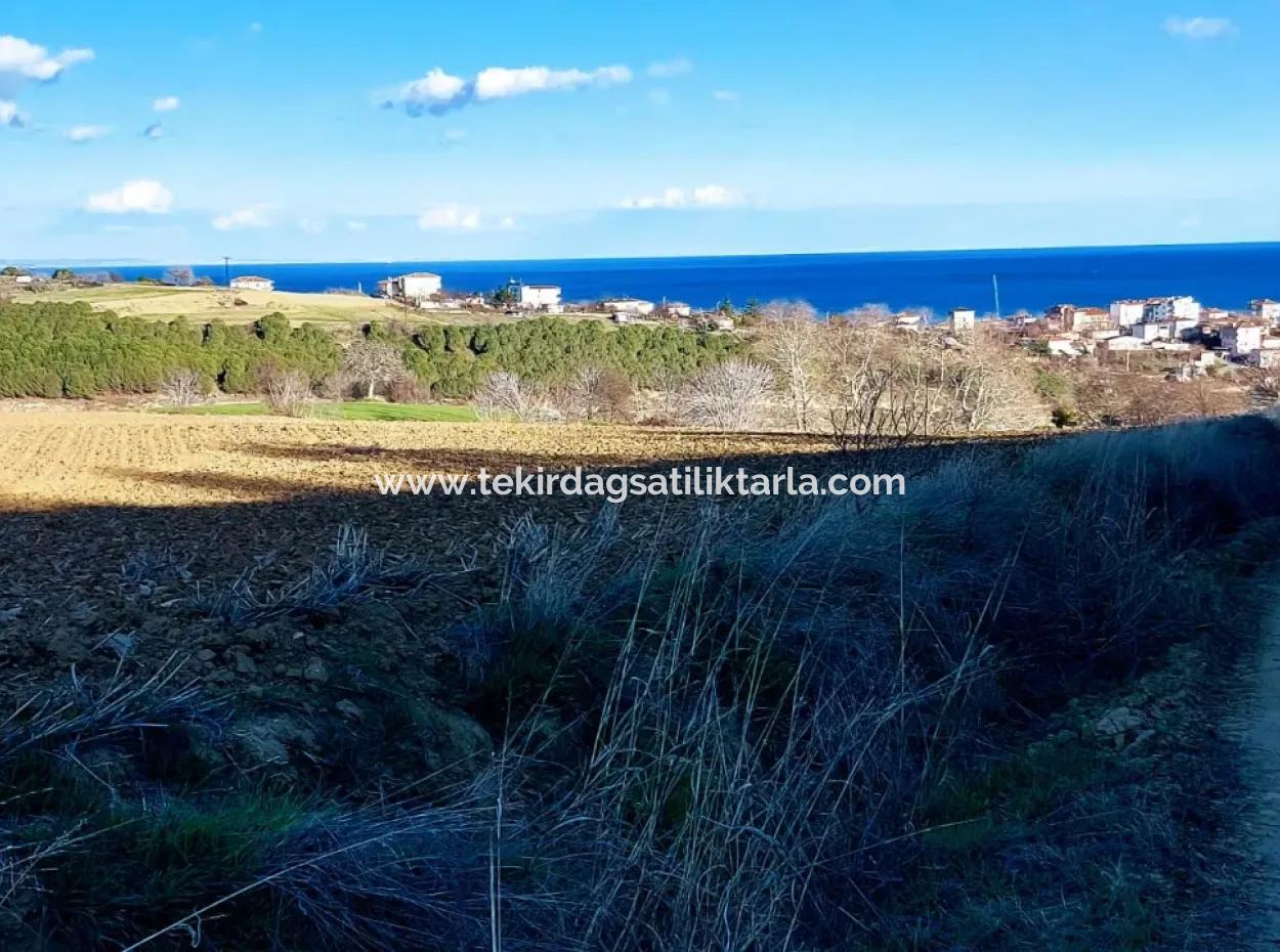 Unique 17.800 M2 Residential Zoned Land Located In Süleymanpaşa Barbaros Area Of Tekirdağ