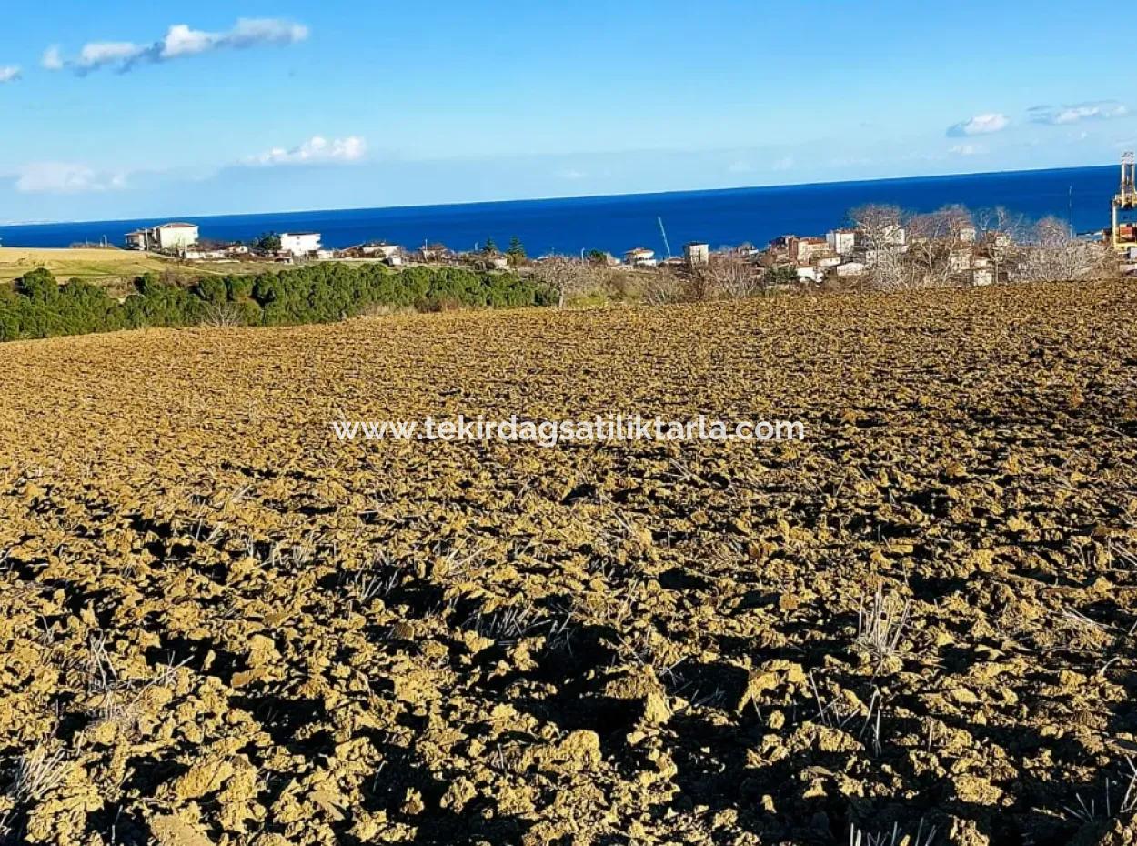 Unique 17.800 M2 Residential Zoned Land Located In Süleymanpaşa Barbaros Area Of Tekirdağ