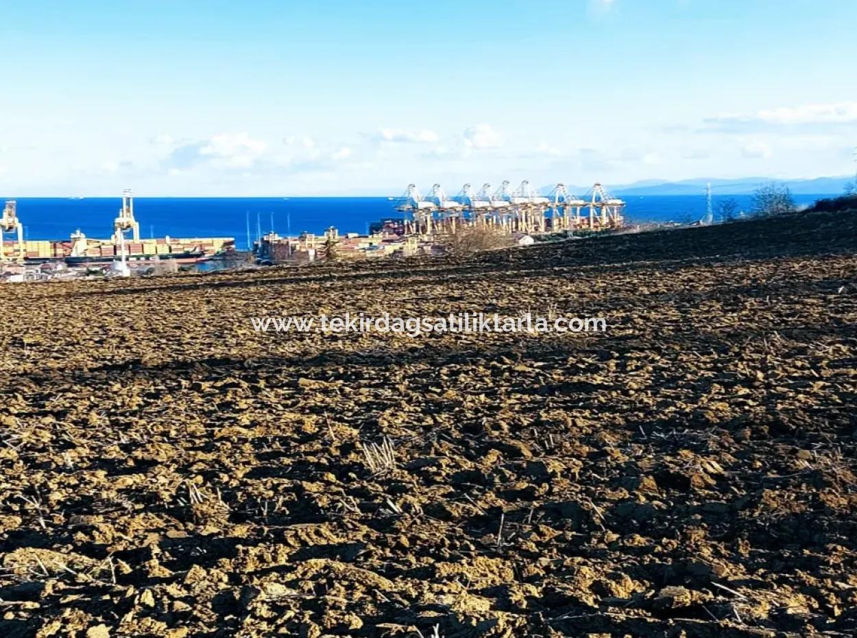 Unique 17.800 M2 Residential Zoned Land Located In Süleymanpaşa Barbaros Area Of Tekirdağ