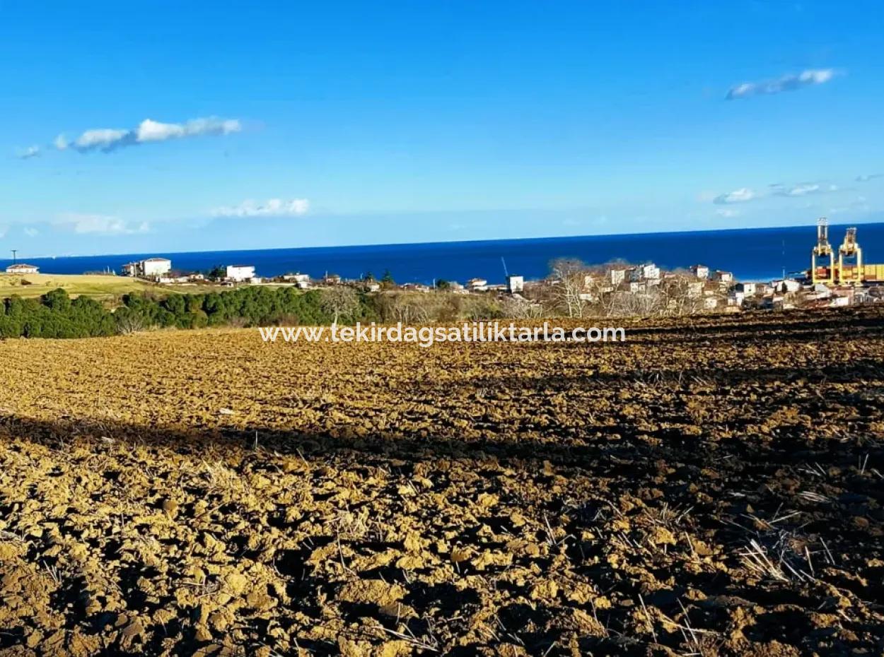 Unique 17.800 M2 Residential Zoned Land Located In Süleymanpaşa Barbaros Area Of Tekirdağ