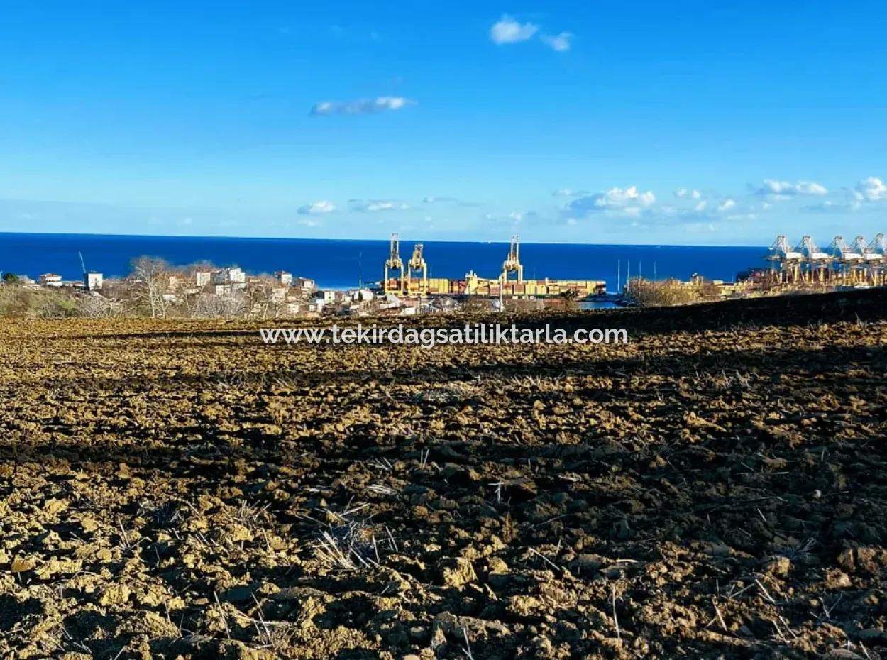 Unique 17.800 M2 Residential Zoned Land Located In Süleymanpaşa Barbaros Area Of Tekirdağ