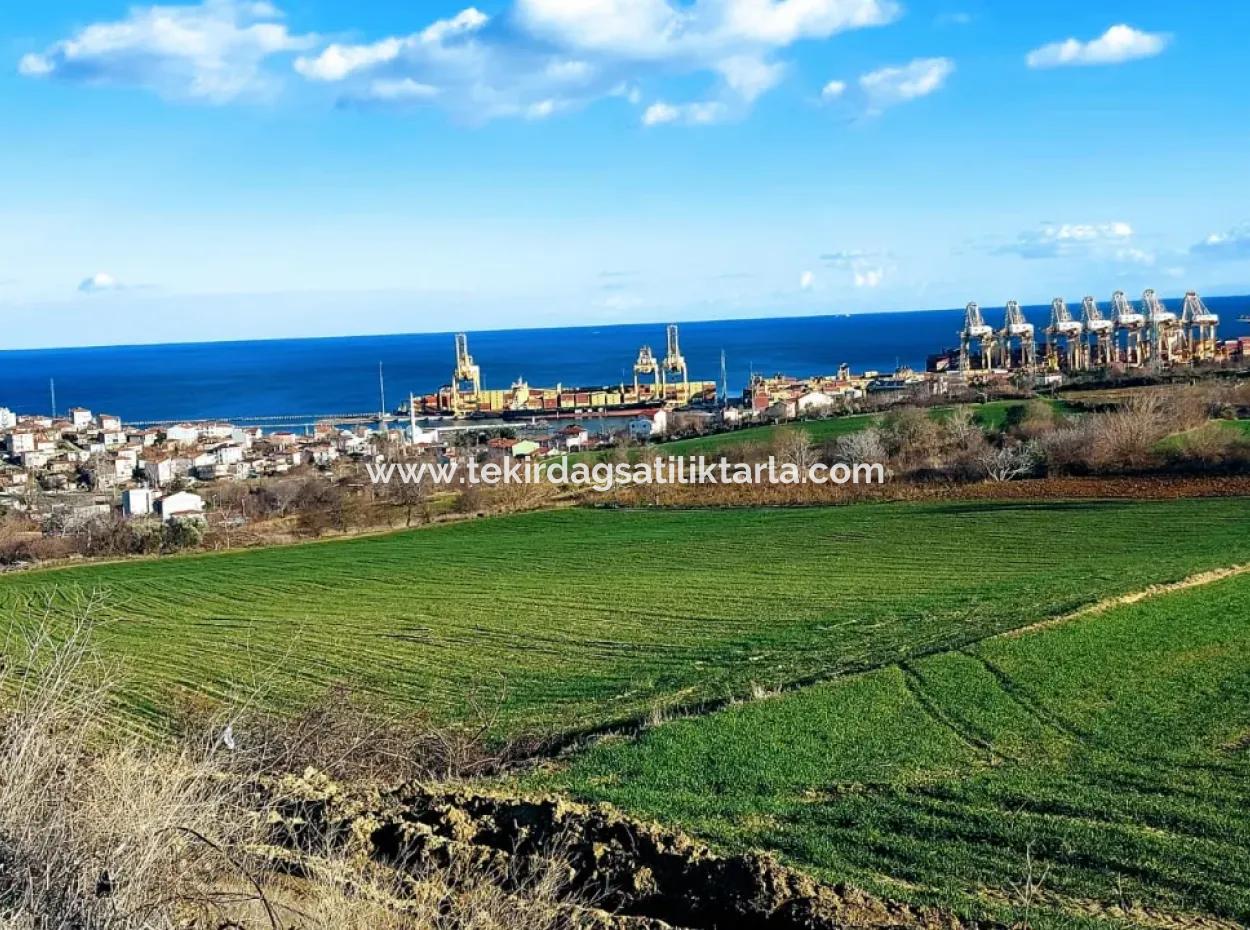 17 980 M2 Field For Sale Close To Tekirdag Barbaros Asyaport Port