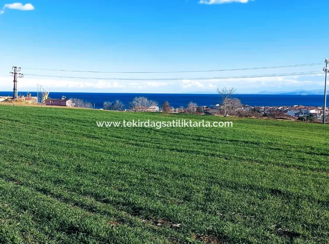 Located In Süleymanpaşa Barbaros, Tekirdag, This 11.100 M2 Residential Land Is Located In A Great Location.