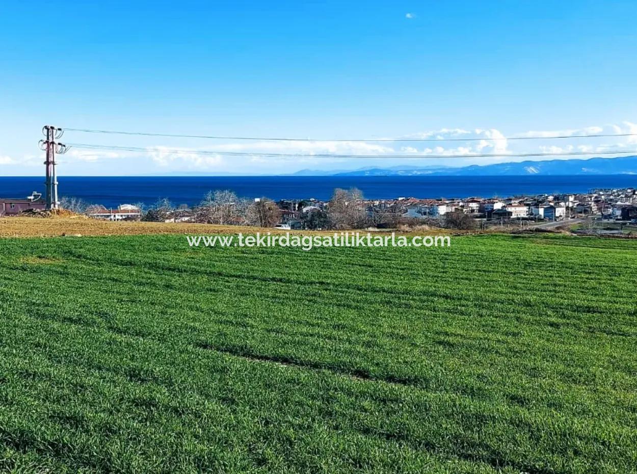 Located In Süleymanpaşa Barbaros, Tekirdag, This 11.100 M2 Residential Land Is Located In A Great Location.