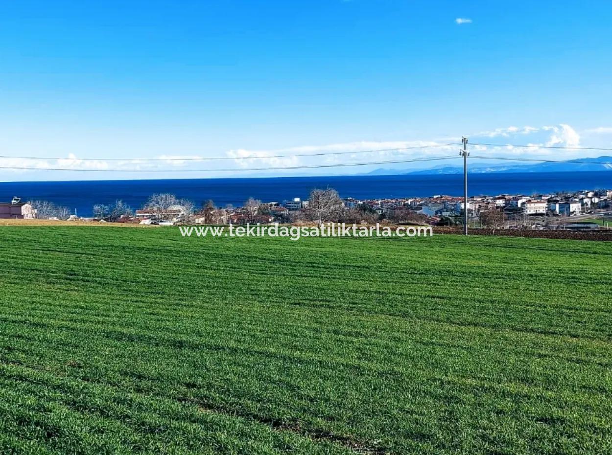 Located In Süleymanpaşa Barbaros, Tekirdag, This 11.100 M2 Residential Land Is Located In A Great Location.